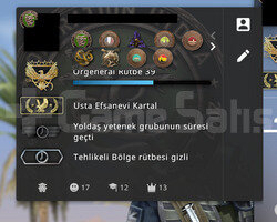 7000 TL STEAM OYUN & 9 MADALYALI & 27 LVL STEAM