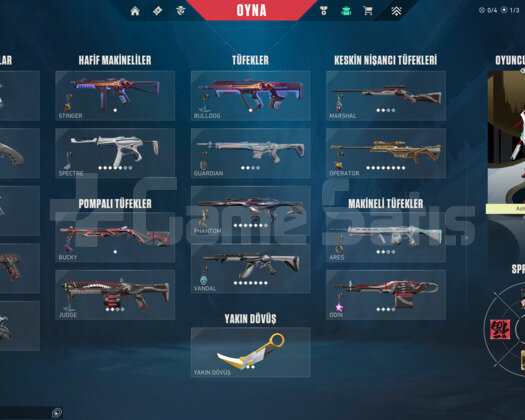 ASİL KARAMBİT/YAĞMACI/İYON/ONİ E-POSTA HESAP