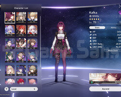 TL60 Kafka,Himeko,Gepard,Clara,Bailu5x5/2x5 Weapon