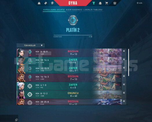 PLAT 2 İYON VANDALLI VE 1000 VPLİ HESAP