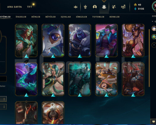 TR EUW / 40-120 LVL / 15-125 ARASI KOSTÜM AÇIKLAMA