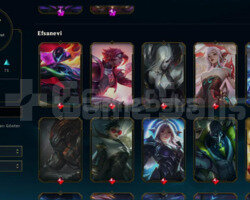 TR EUW / 40-120 LVL / 15-125 ARASI KOSTÜM AÇIKLAMA