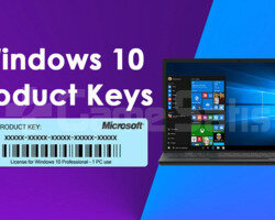 Windows 10 Pro Lisans Anahtarı