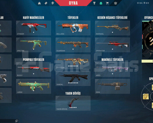 YENİ SEZON ÖZEL IMMO 2 SKINLI HESAP