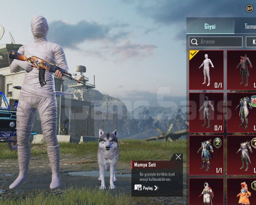 BUZ DYRI 4 SV + AKM 7 SV + MUMYA +UMP MAXS + TEMİZ