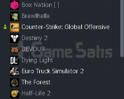 Steam Ekonomik Hesap