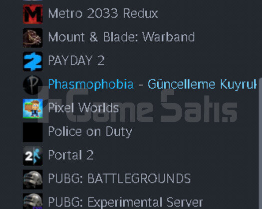 Steam Ekonomik Hesap