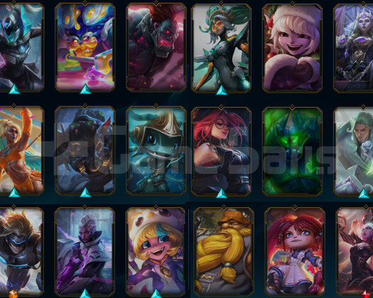 TR PLAT 4 60LP 30 KOSTUM HESAP