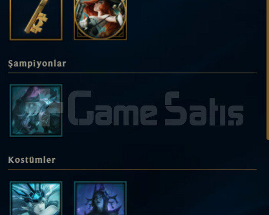 TR PLAT 4 60LP 30 KOSTUM HESAP