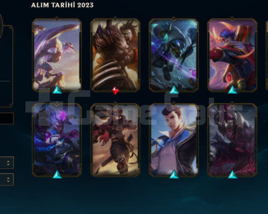 TR D1 MASTER MMR MİD/TOP BOL KOSTÜM ACC +42/-17