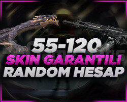 VIP 55-120 Skin Random