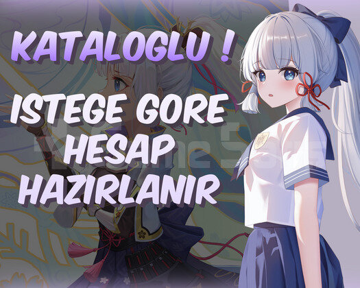 Katalog | ISTEGE GORE HESAP HAZIRLANIR !