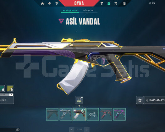 RGX KELEBEK/ASİL VANDAL/GAIA E-POSTA HESAP