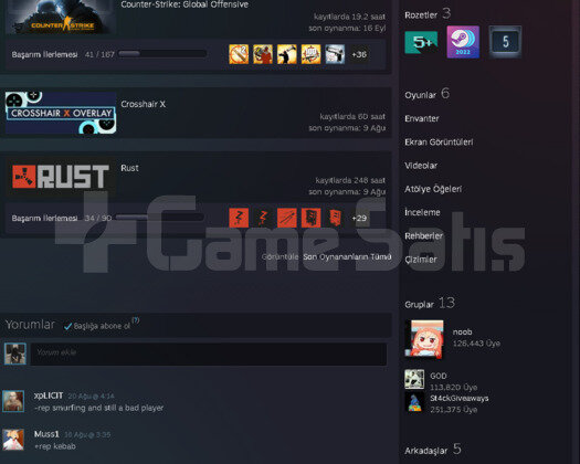 250 saat ve skinli rust hesabı