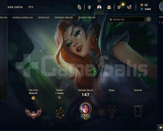 TR 100 LVL BRONZ hesap