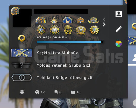 CS 2 ERİŞİM DAVETLİ & 2300 TL STEAM OYUN & 10 MDLY