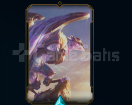 TR PLAT 4 HESAP