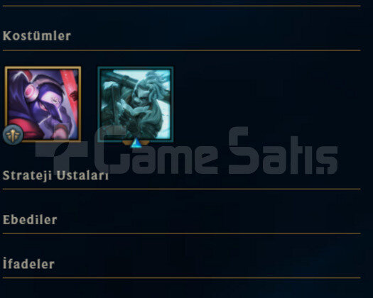 TR PLAT 4 HESAP