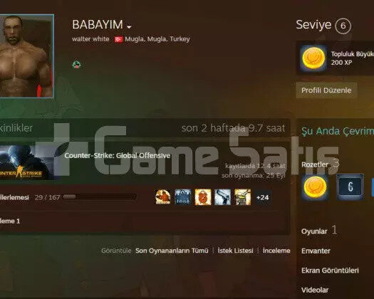 3 Rozetli Prime CS 2 Hesabı