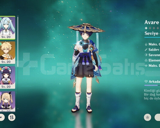 Raiden + Avare + mona + kejing