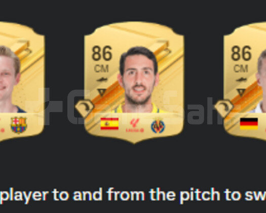 FC 24 PC EA  PLAY PRO