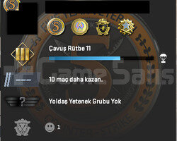 85 TL CS2 ENVANTER & 40 TL STEAM BAKİYE & FACEITSI