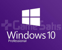 WINDOWS 10 PRO LİSANS ANAHTARI ANINDA TESLİM!!