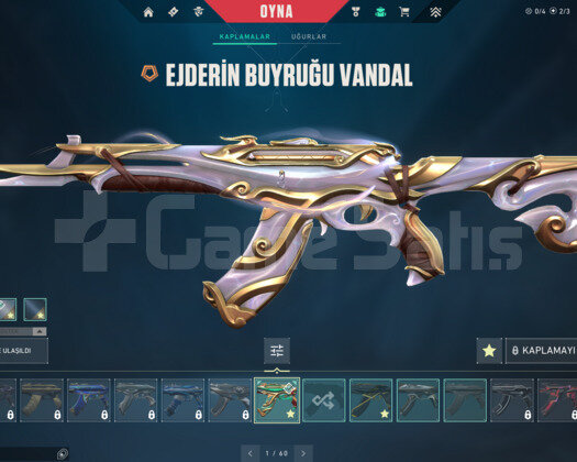 EJDER BUYRUK VE CHAMPİONS 23 VANDAL E-POSTA HESAP