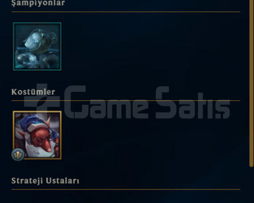 TR PLAT 3 8 KOSTUM HESAP