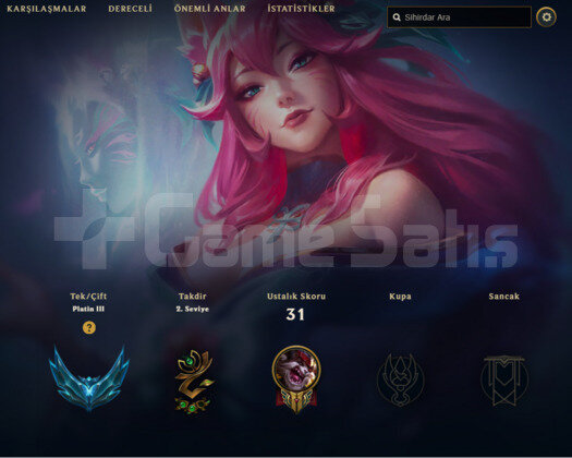 TR PLAT 3 8 KOSTUM HESAP