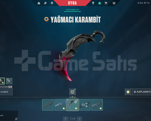 YAĞMACI KARAMBİT/UZAY AVCISI/ASİL E-POSTA HESAP