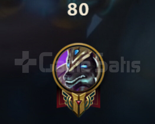 62 LEVEL / 6 SANDIK / 9 KOSTÜM / 100 RP