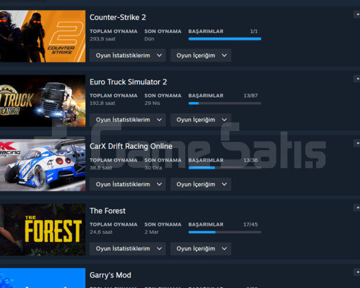 Counter Strike 2 Seçkin Hesap İçinde Dolu Oyun Var