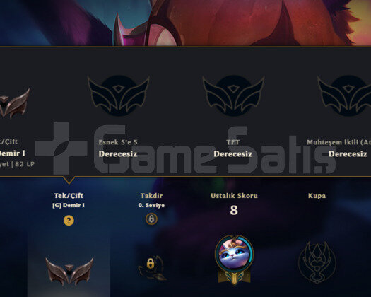 DEMİR 1 SMURFLEMELIK HESAP