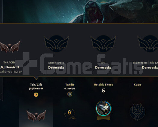 DEMİR2 SMURFLEMELIK HESAP