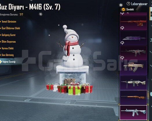 Buz m416 Maxx 2 Silah Max Nihai Set Mumya İşgalci