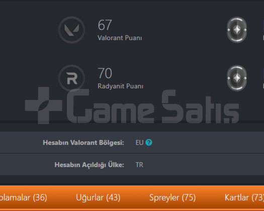 DOLU HESAP GÜNCEL DEĞERİ 2600TL