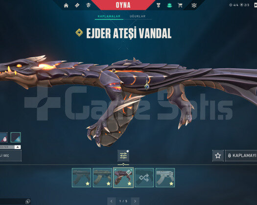EJDER/YILDIZ BELASI/ONİ/NEPTUNE E-POSTA HESAP