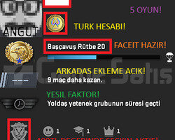 1 MADALYA OYUNLU YEŞİL FAKTÖR TÜRK HESABI