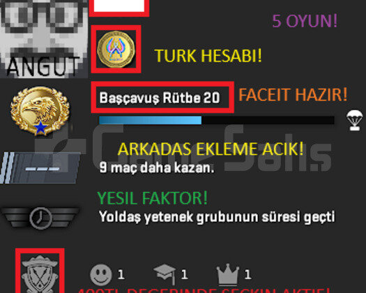 1 MADALYA OYUNLU YEŞİL FAKTÖR TÜRK HESABI