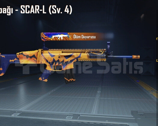 SCAR 4 SV + VEKTÖR 4 SV + 2 YKSLT ARAC + TEMİZ BAĞ
