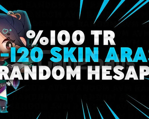 10-120 SKİN 100TR ULTRA VİP RANDOM