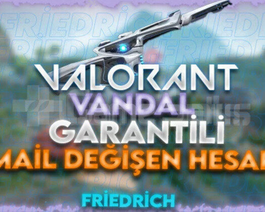 VANDAL GARANTILI MAIL DEGISEN HESAPLAR