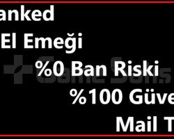 TR | Unranked | Mail Teslim | El Emeği