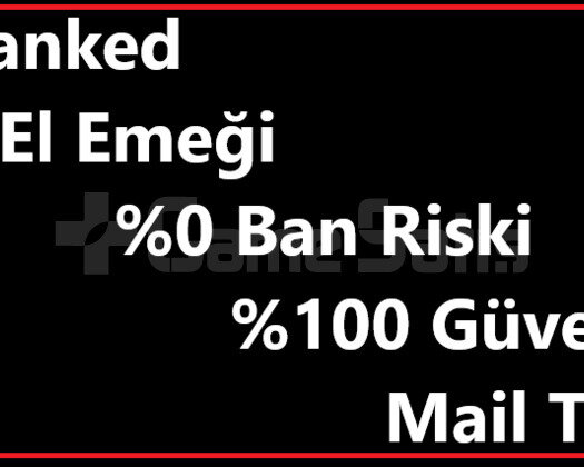 TR | Unranked | Mail Teslim | El Emeği