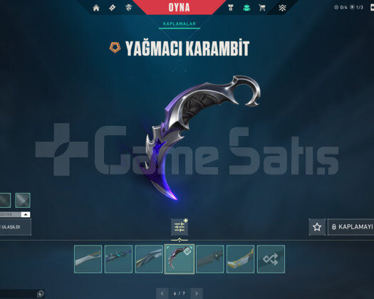 YAĞMACI VE ASİL KARAMBİT/KAOS E-POSTA HESAP