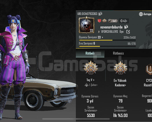 Pubg Kostümlü Taç Hesap