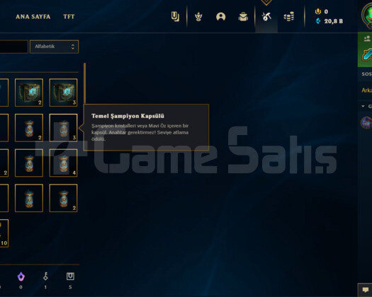 30 LVL 50.000 MAVİ ÖZ UNRANKED HESAP UYGUN FİYAT!