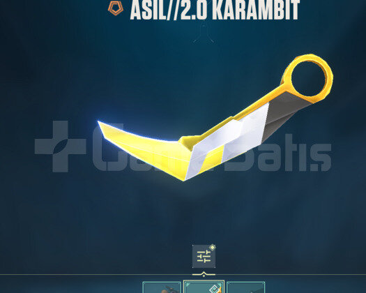TR | 70 LVL | Asil, Yağmacı | Gümüş 2