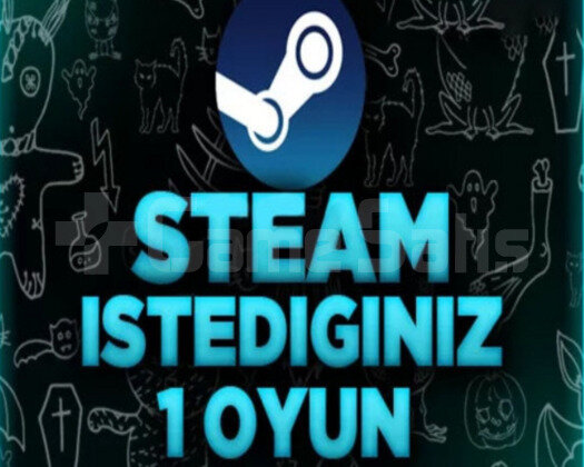 STEAM İSTEDİĞİNİZ 1 ADET OYUN GARANTİ + DESTEK